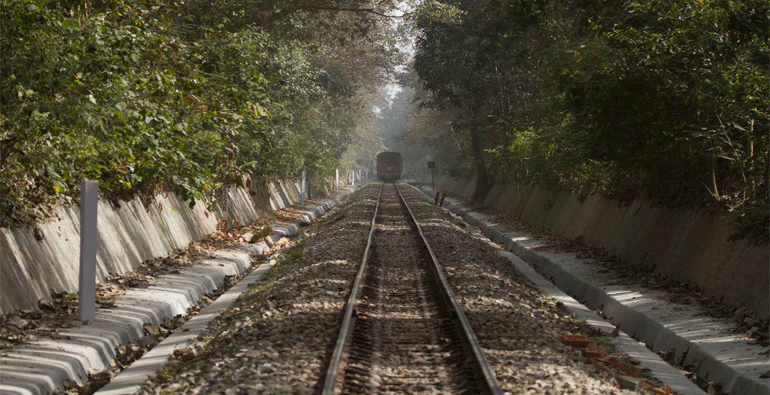 dudhwa tourism
